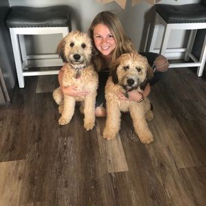 Meet your Posher, Carmen